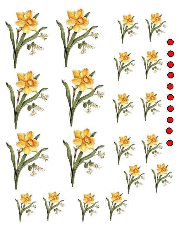 waterslide decals