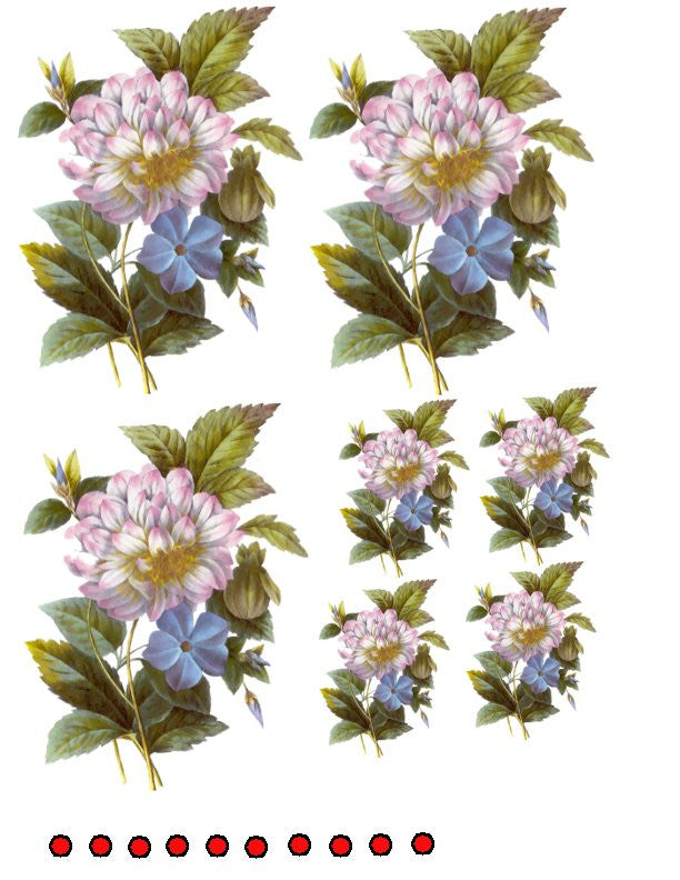 waterslide decals