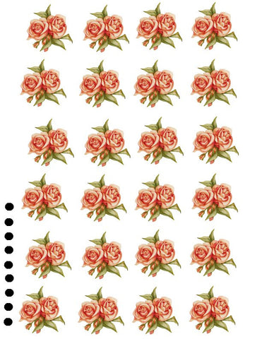 waterslide decals