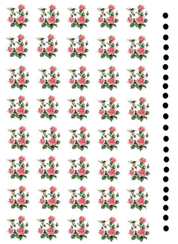 waterslide decals