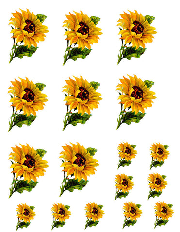 waterslide decals
