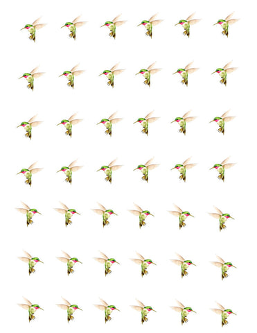 waterslide decals