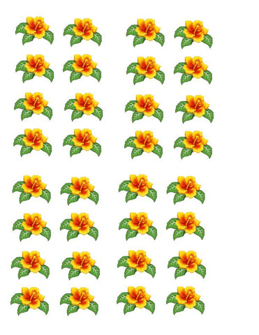 waterslide decals
