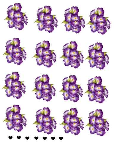 waterslide decals
