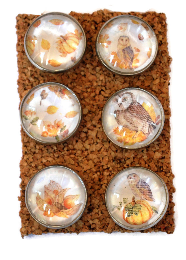 Large Autumn Owls Decorative Push Pins Thumbtacks and Corkboard Pushpins for Bulletin Boards