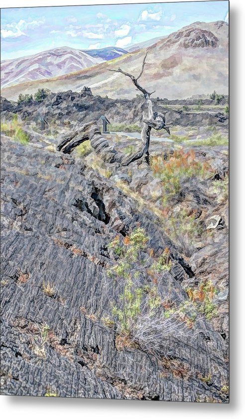 Craters Of The Moon - Metal Print