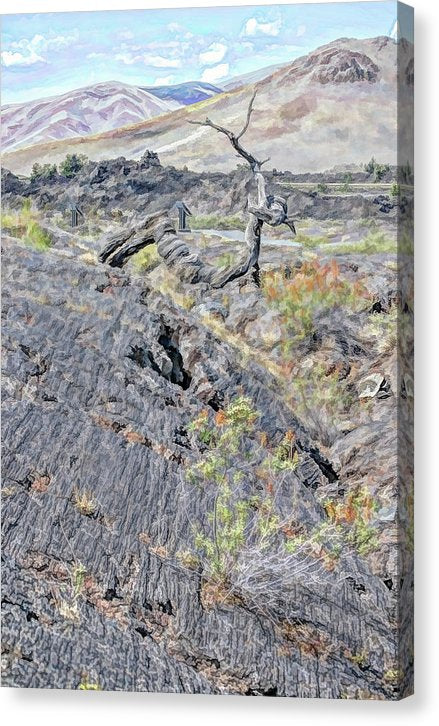Craters Of The Moon Idaho Canvas Print  Wall Art Home or Office