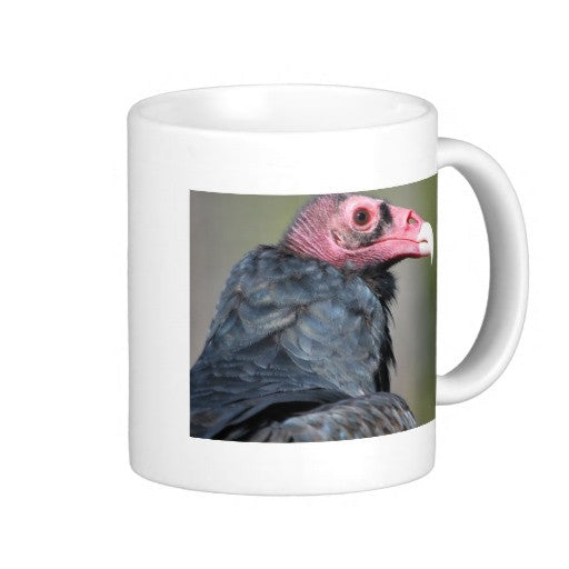 Bald Vulture Coffee Mug, 11oz Raptor Drinkware Buzzard Mug